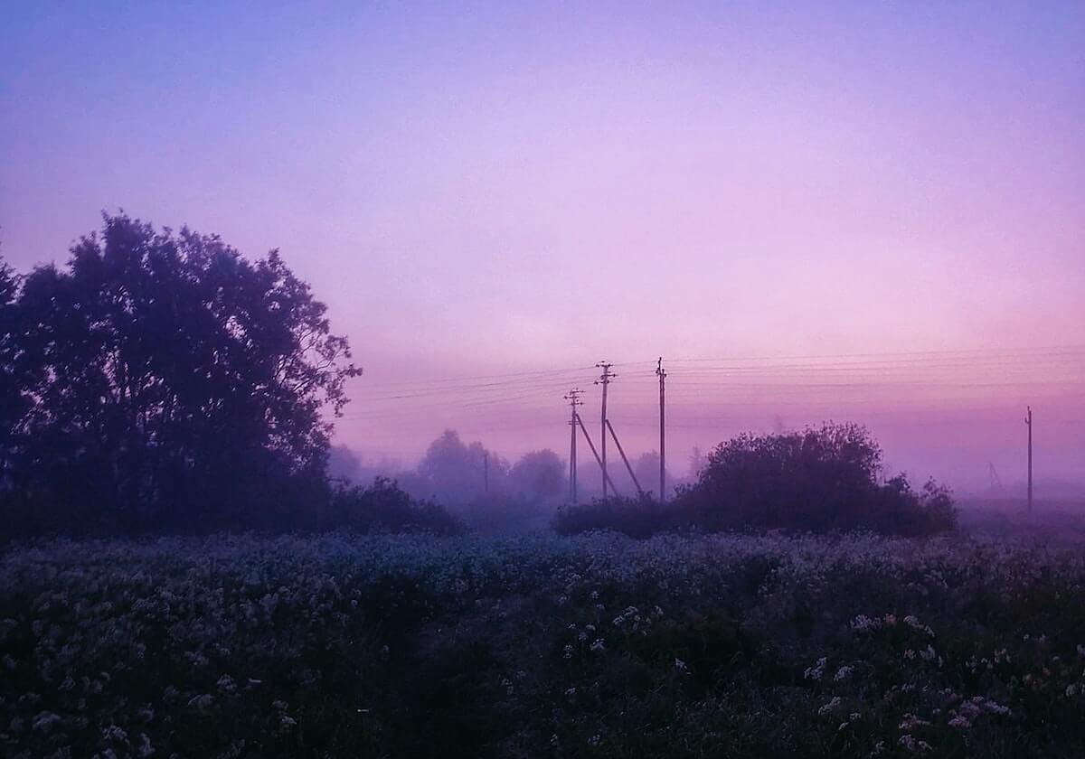 15000名跑者从东方明珠出发，2026上海半马今晨鸣枪，许双双收获个人PB：路边观众特别热情